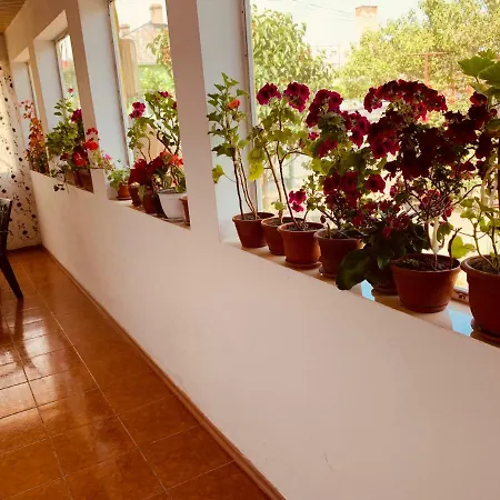 Casa Galbena סולינה